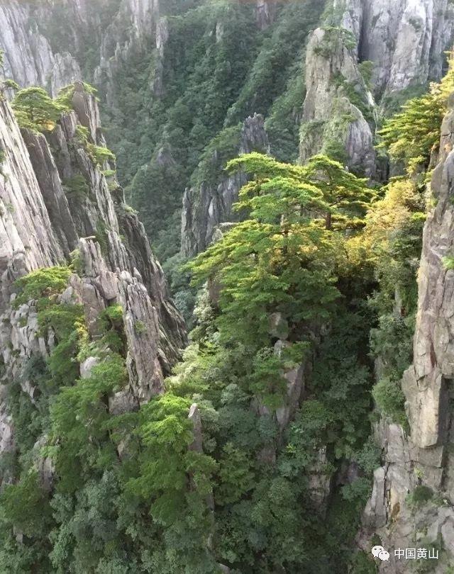 制作魅力香水