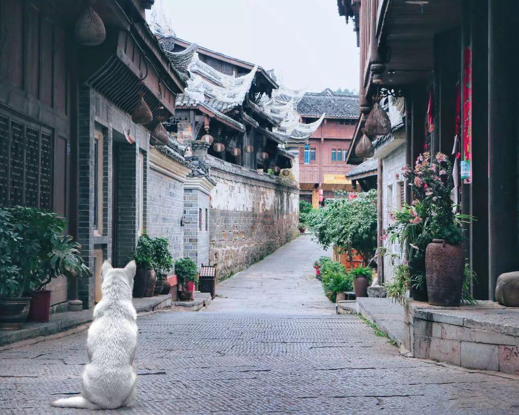 逃离火车站口